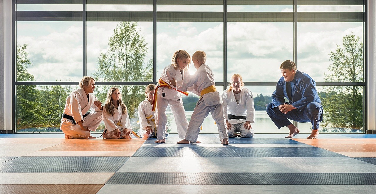 Frövi Judo Bannerbild